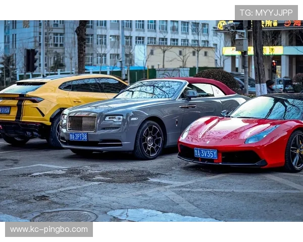 蒋林静训练间隙买了豪车？这日常感觉随时能拍偶像剧了吧